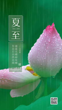 15正版唯美荷花风景土味小视频视频模板gif正版今日小暑夏至节气荷花