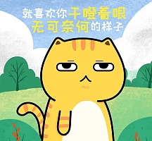 猫咪干瞪眼无可奈何搞笑朋友圈封面