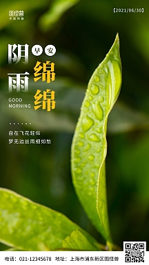 早安阴雨绵绵摄影简约创意日签