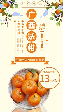 橘子促销海报