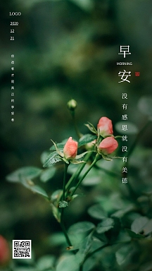 绿色大气简约早安卡片花日签