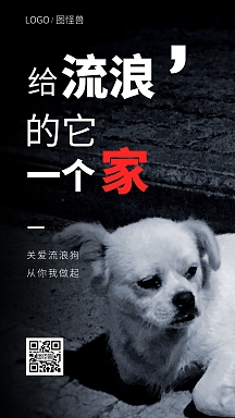 简约大气摄影图关爱流浪狗公益海报