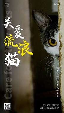 大雪节气宠物关爱流浪猫简约大气手机海报