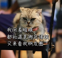 又来看我朋友圈