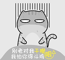 猫咪干瞪眼我怕得白内障搞笑朋友圈封面