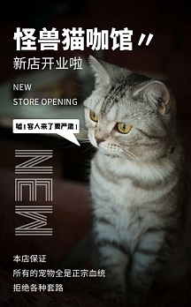简约大气猫咪宠物店开业h5模板