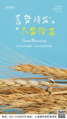 21早安世界清新麦穗公众号首图简约励志早安芒种节气海报摄影风麦田