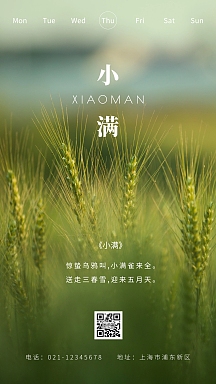 简约摄影绿色清新唯美早安小满诗句日签