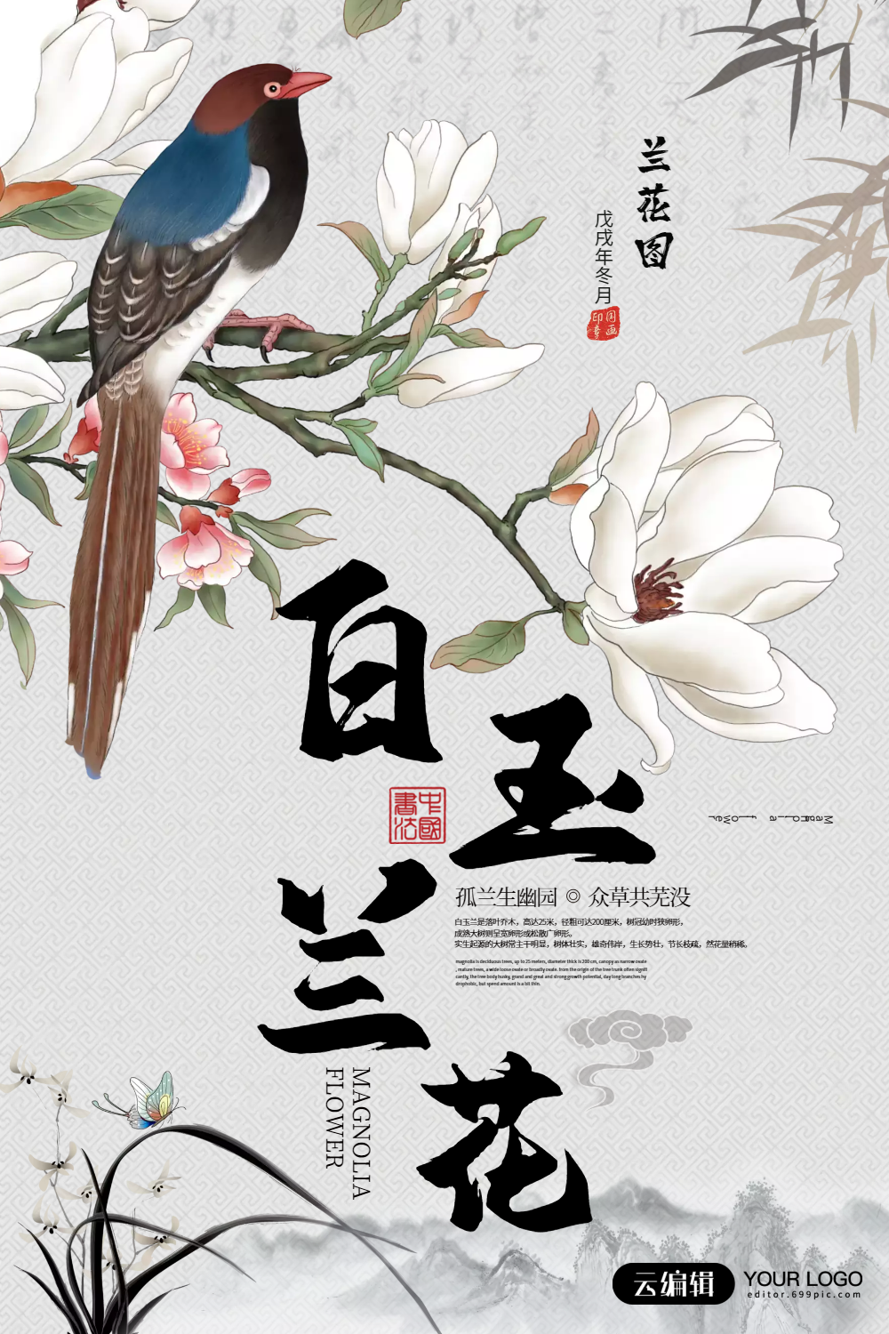 唯美春季赏花之白玉兰花海报