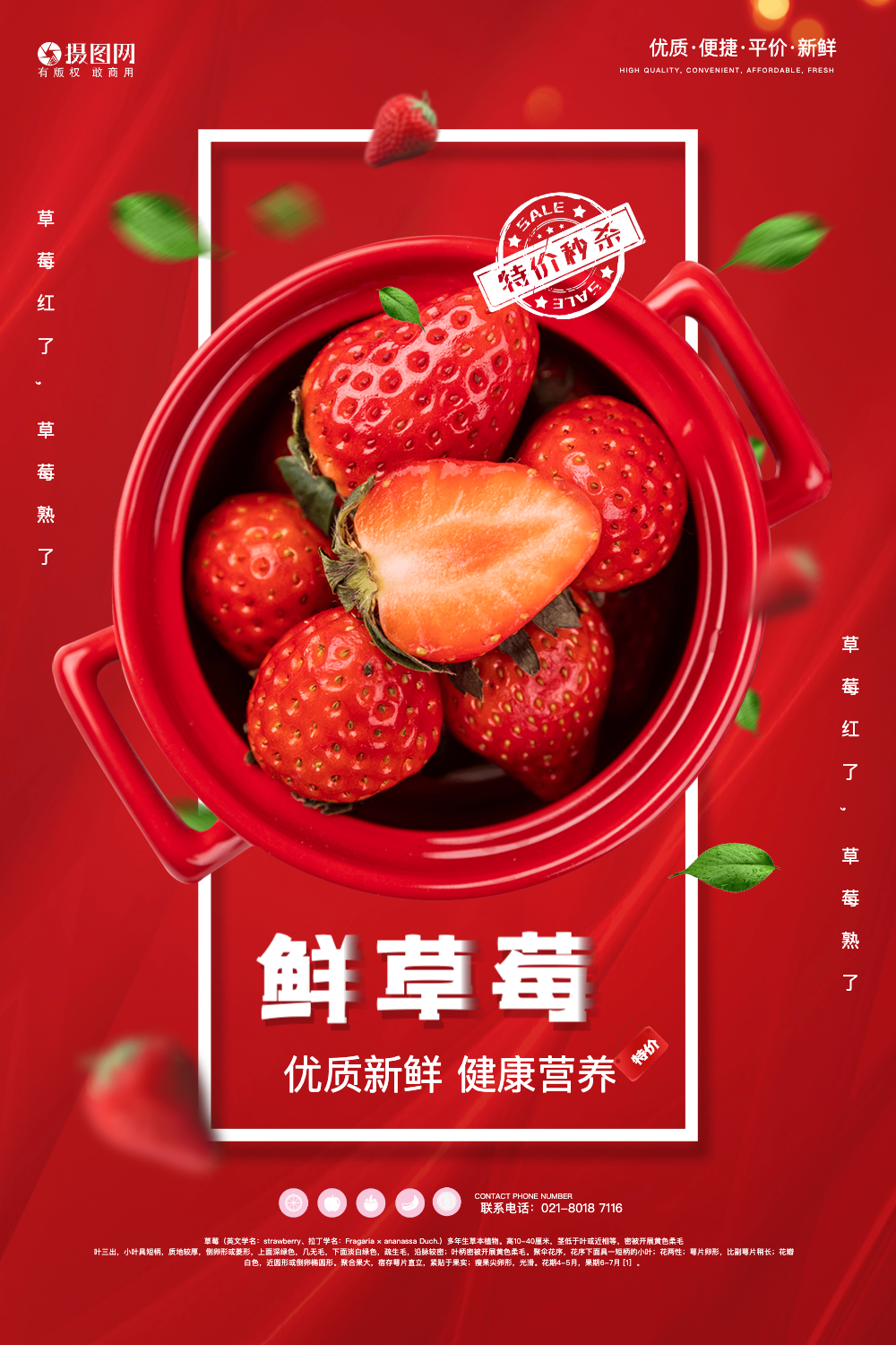 新鲜草莓促销上市宣传海报