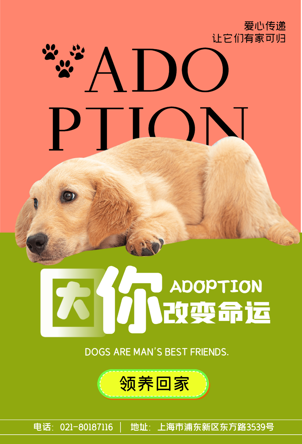 领养宠物公益海报设计系列