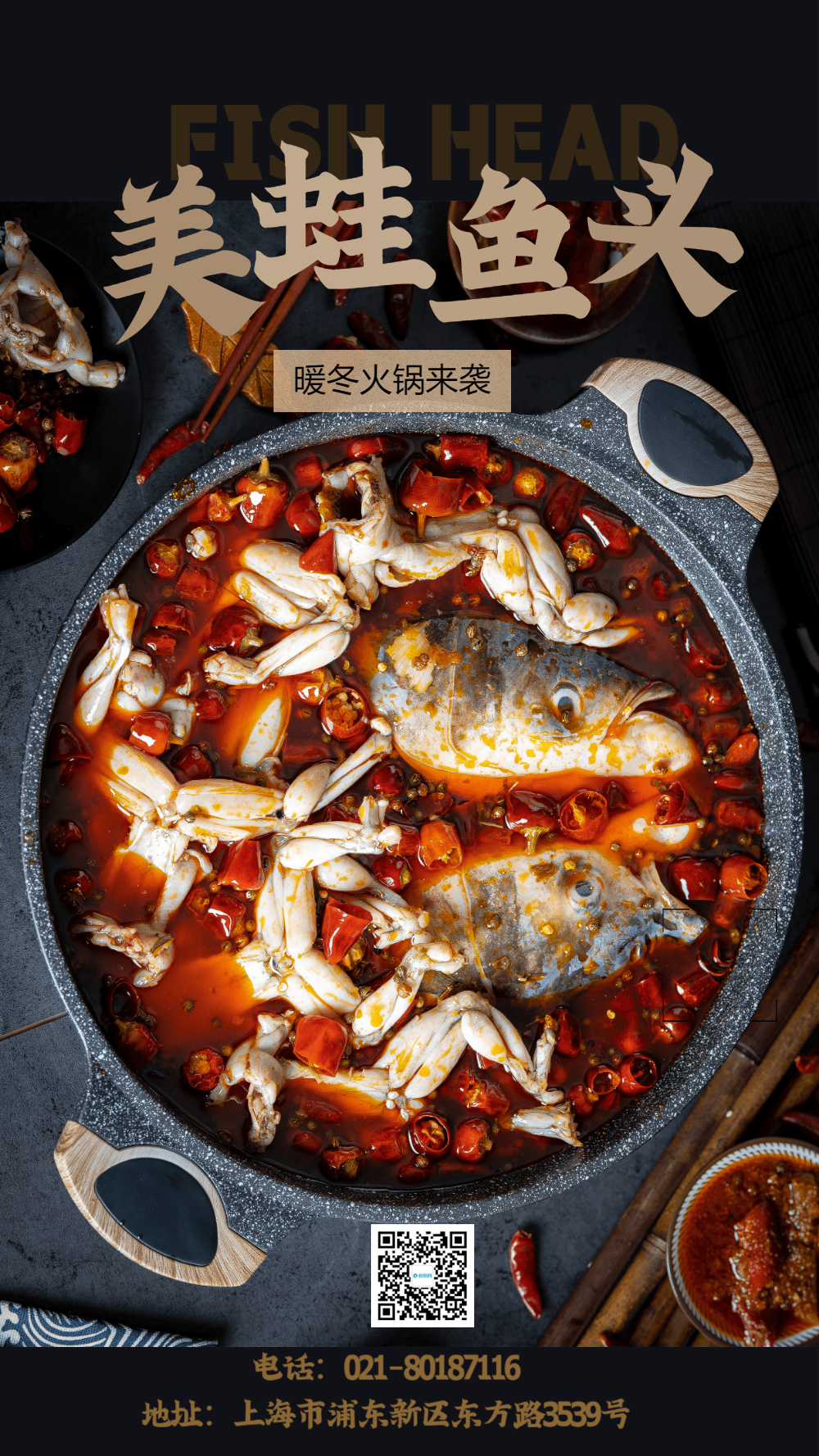 美蛙鱼头摄影图海报