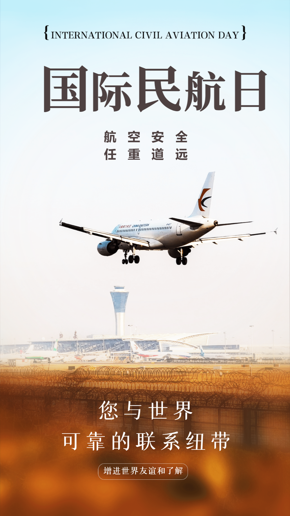国际民航日摄影图海报