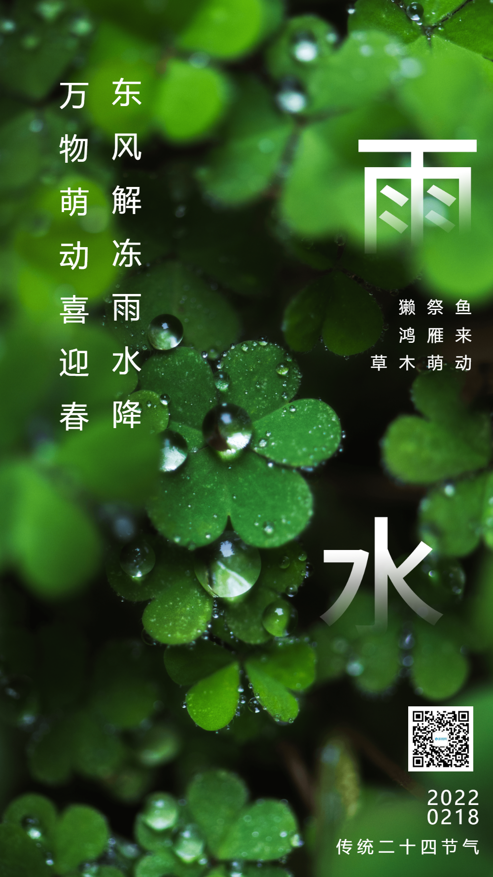 清新雨水传统节气摄影图海报
