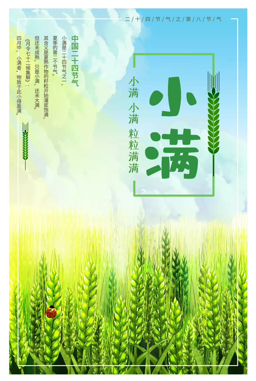 小满24节气海报