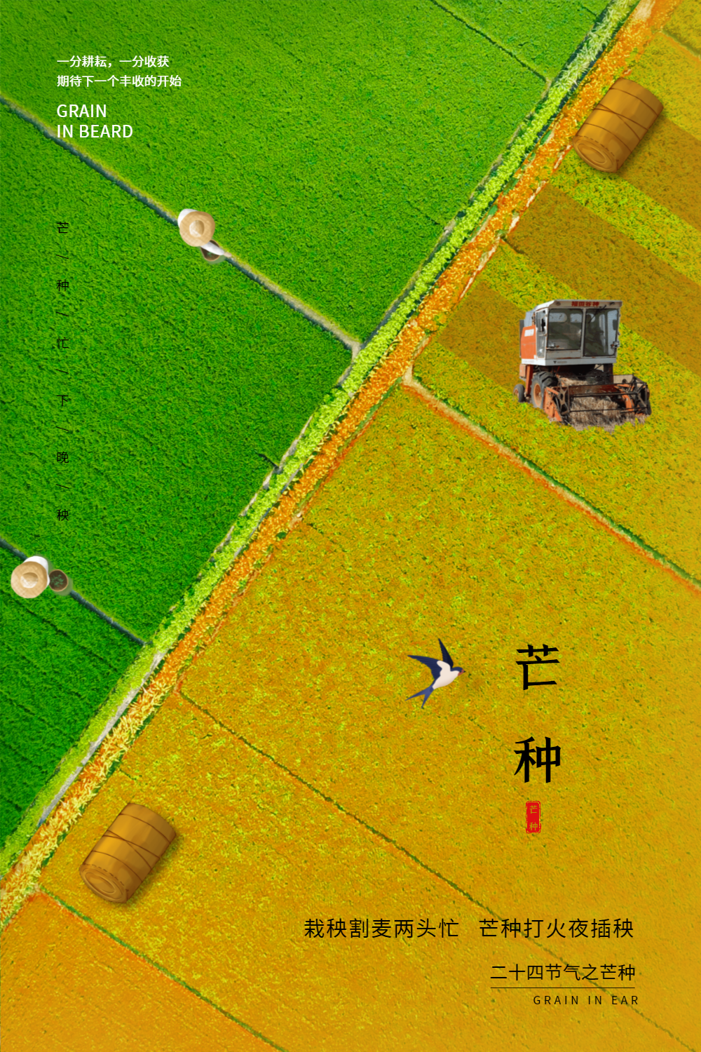 简约创意收割插秧对比芒种24节气海报