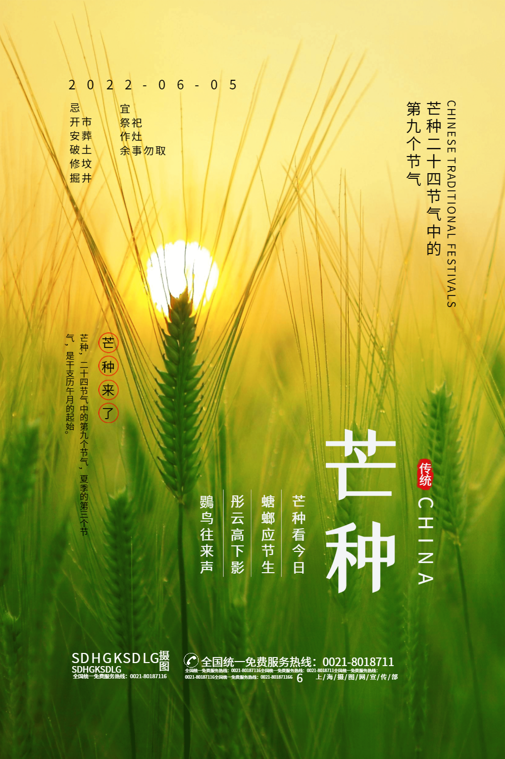 正版摄影主题芒种海报正版清新写实风芒种节气海报正版简约水墨风白露