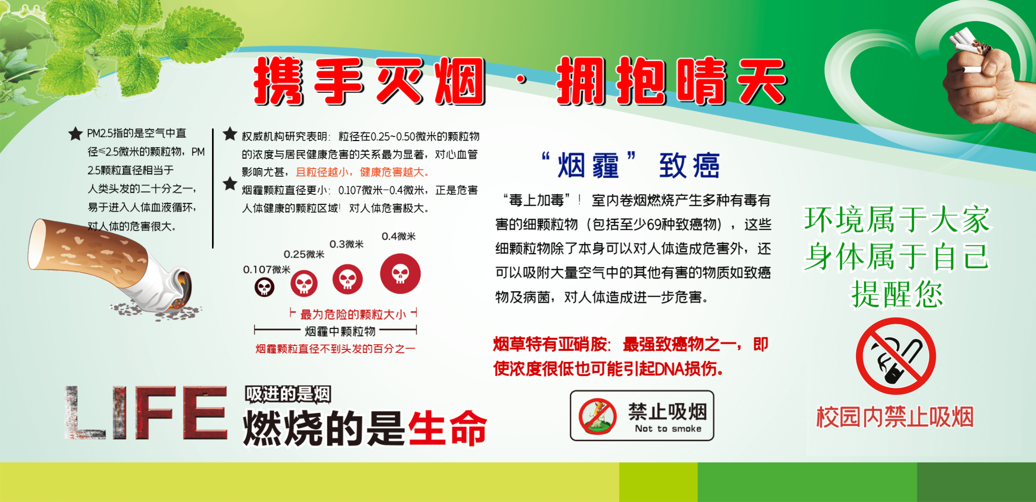 禁止吸烟宣传展板