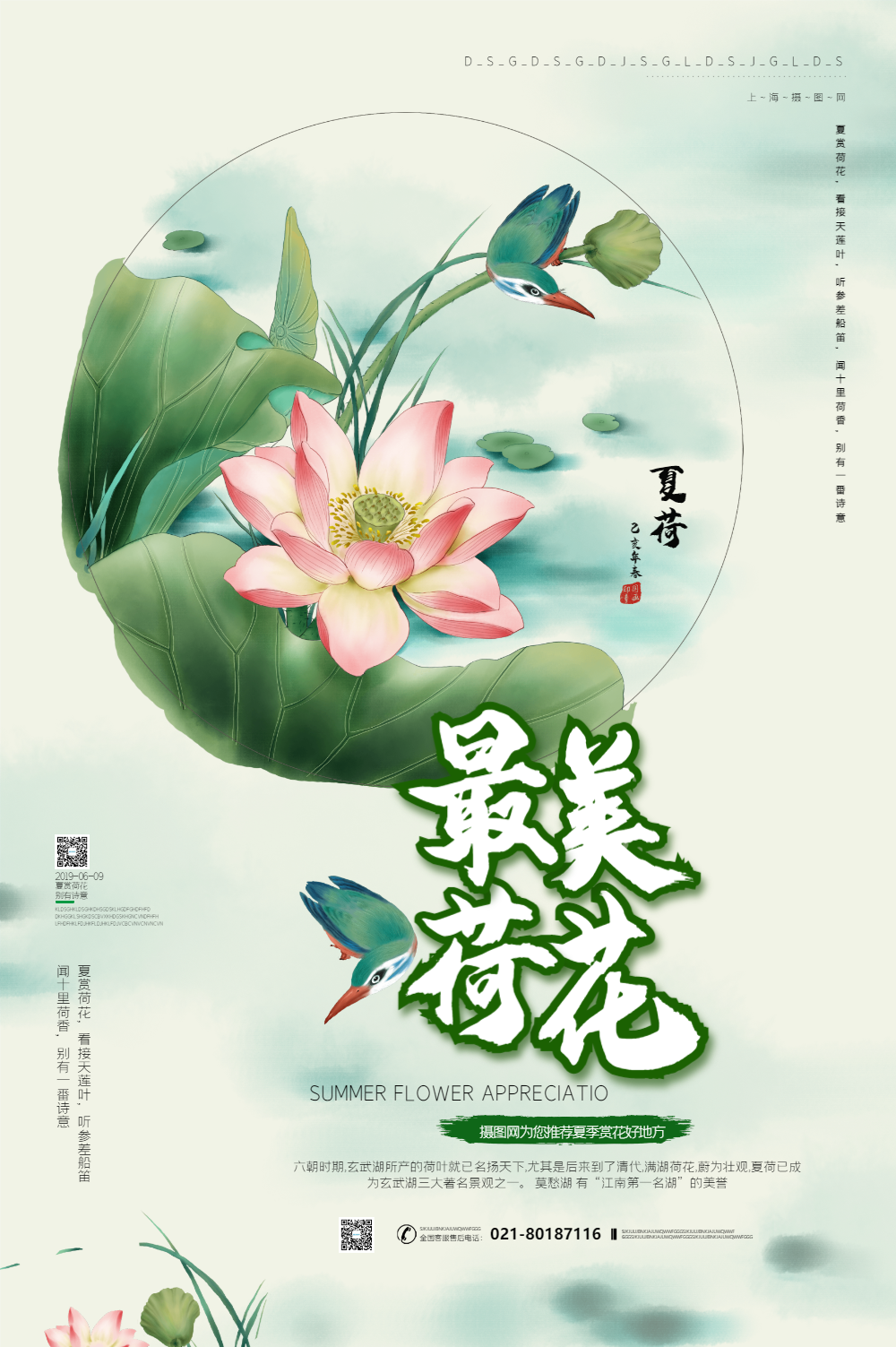 最美荷花夏季赏花海报