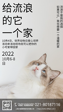 创意保护流浪猫海报企业商用宠物流浪动物检查公益宣传摄影图海报翻页