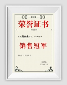 销售冠军荣誉证书