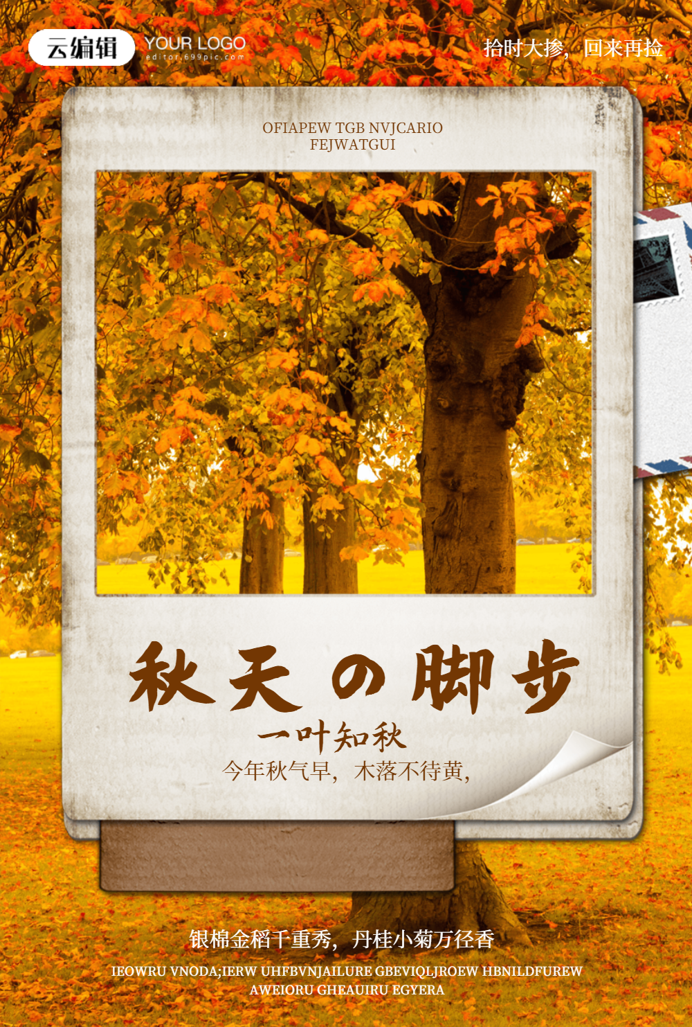 一叶知秋