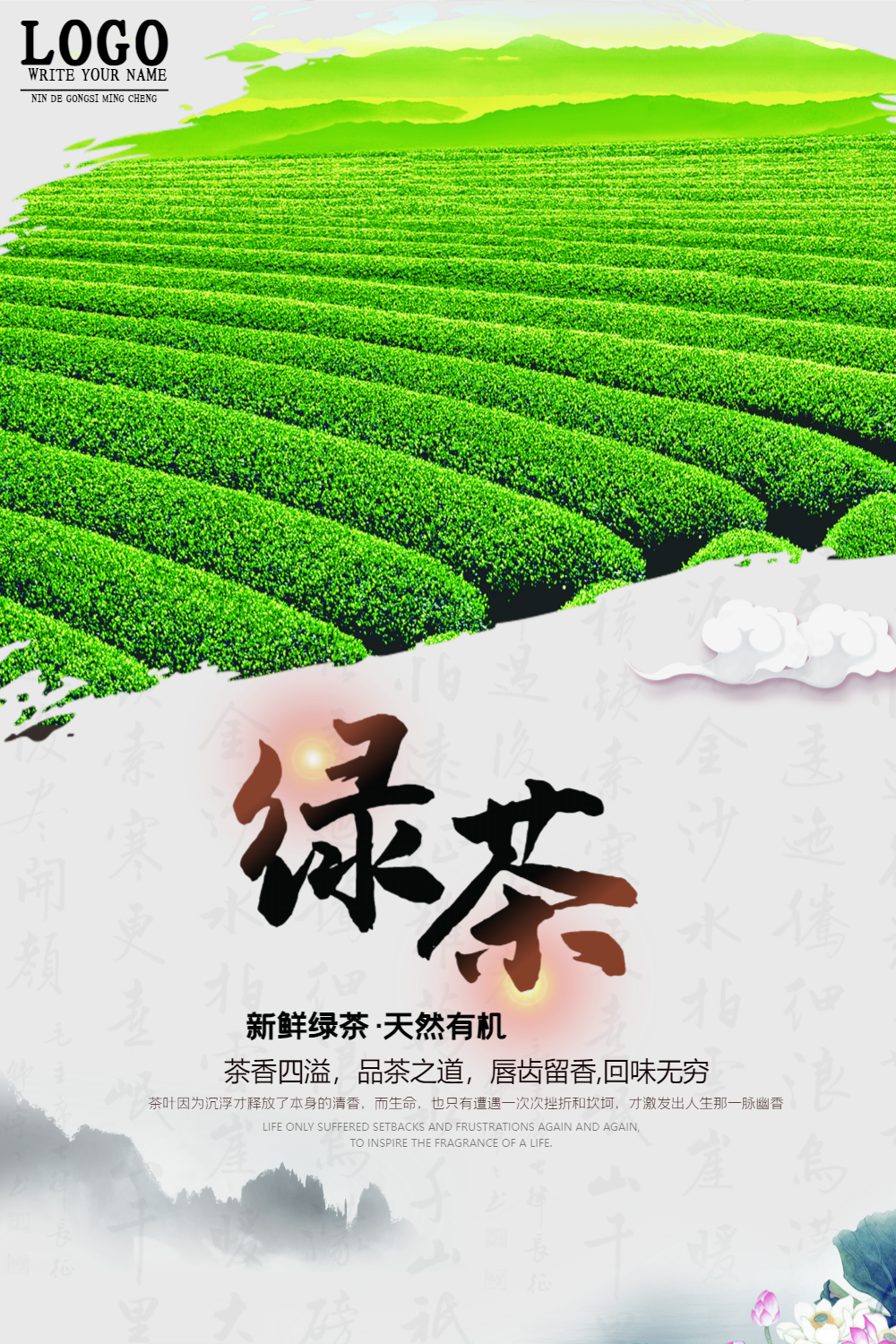 铁观音茶叶图片