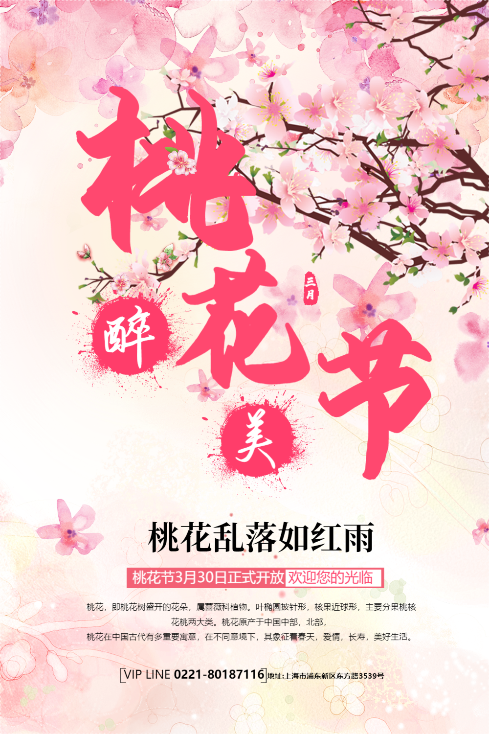 醉美桃花节春季旅游海报设计