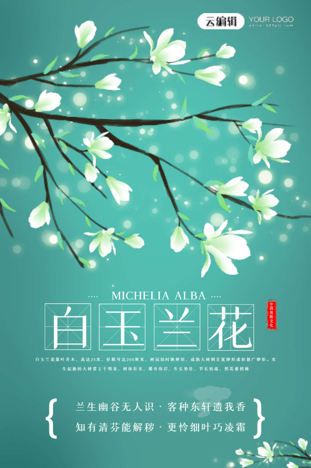 插画风春季赏花之白玉兰花海报