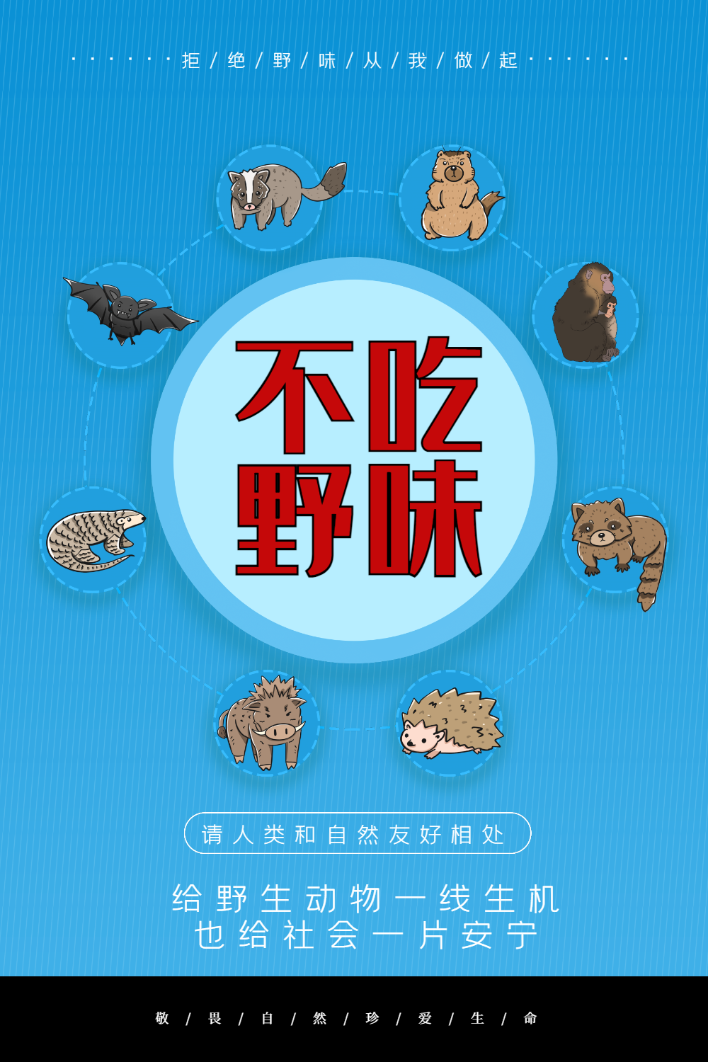 蓝色简约不吃野味海报