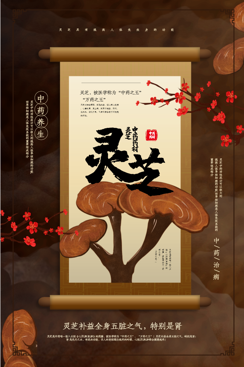 中国风灵芝中药宣传海报