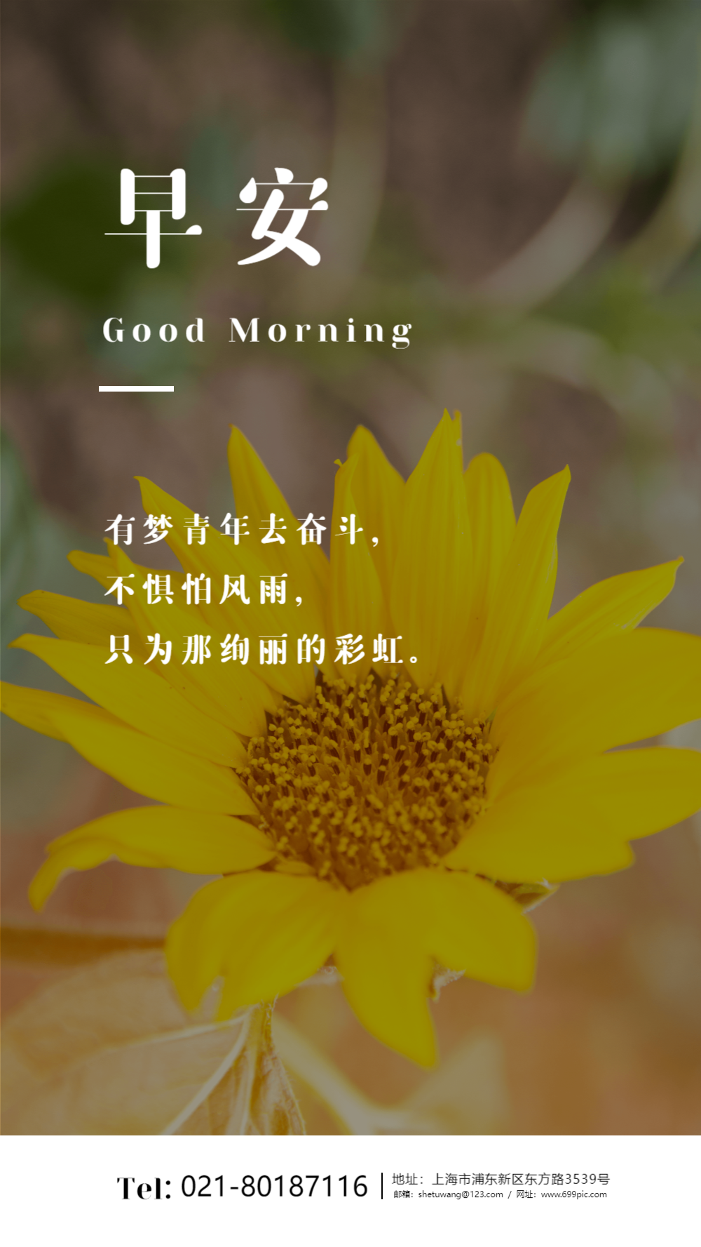 向日葵早安励志文化海报