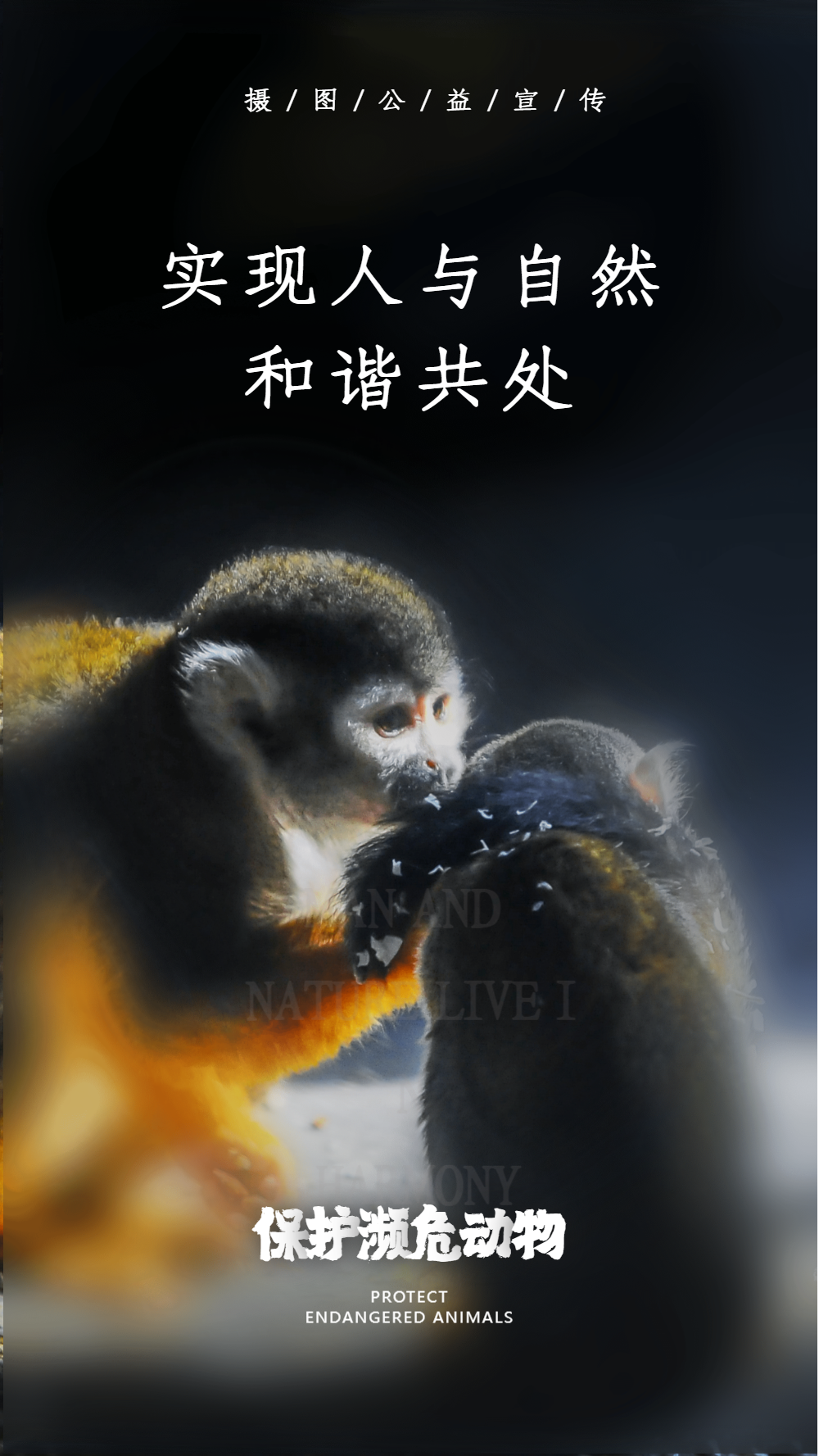 实现人与自然 和谐共处摄影图海报