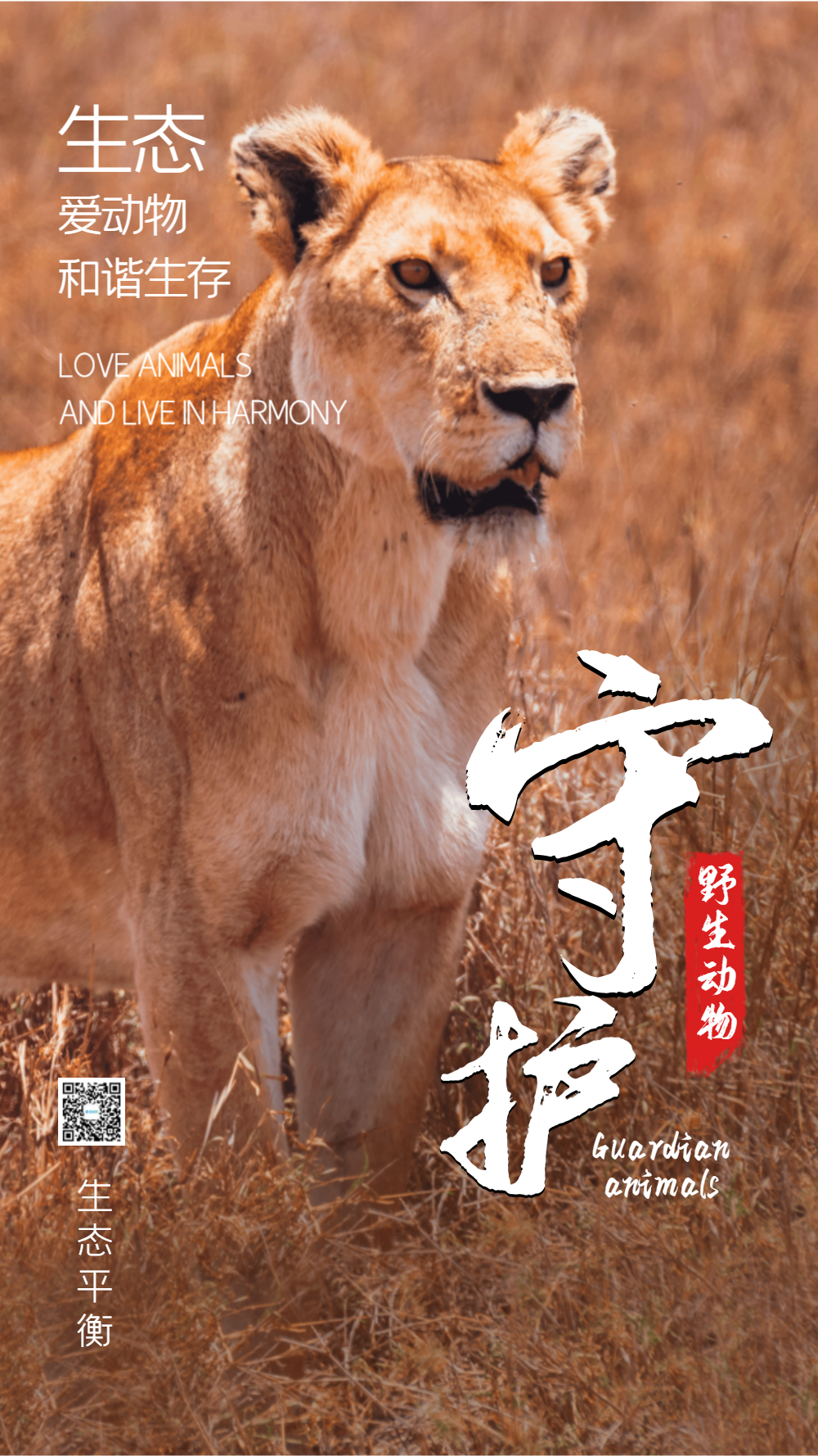 野生动物摄影图海报设计