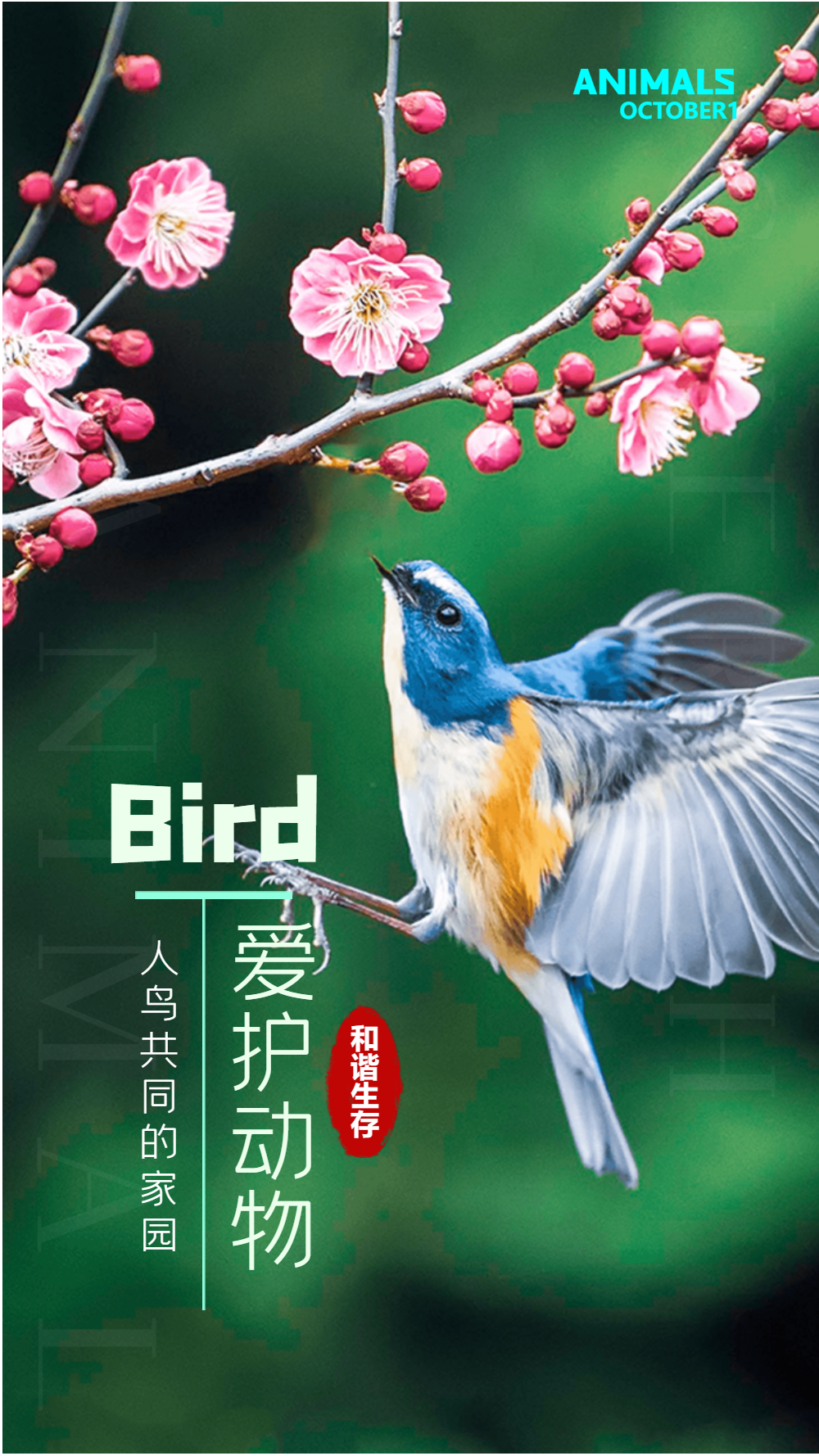 爱护动物宣传展板正版世界动物日保护动物宣传海报正版国际珍稀动物