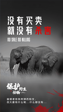 vip专享保护野生大象小学公益海报保护大象拒绝象牙摄影图海报vip专享