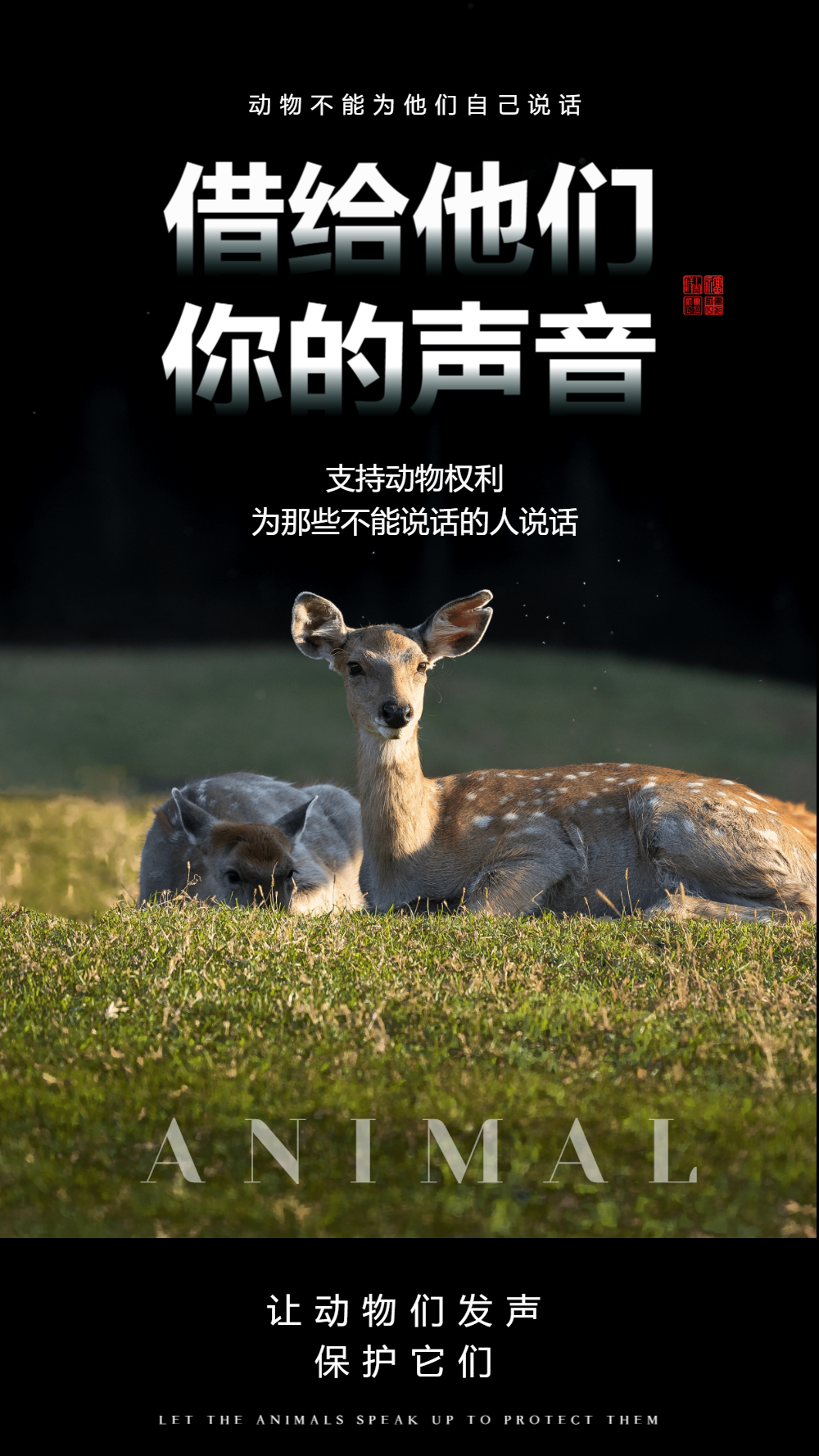 动物保护宣传海报