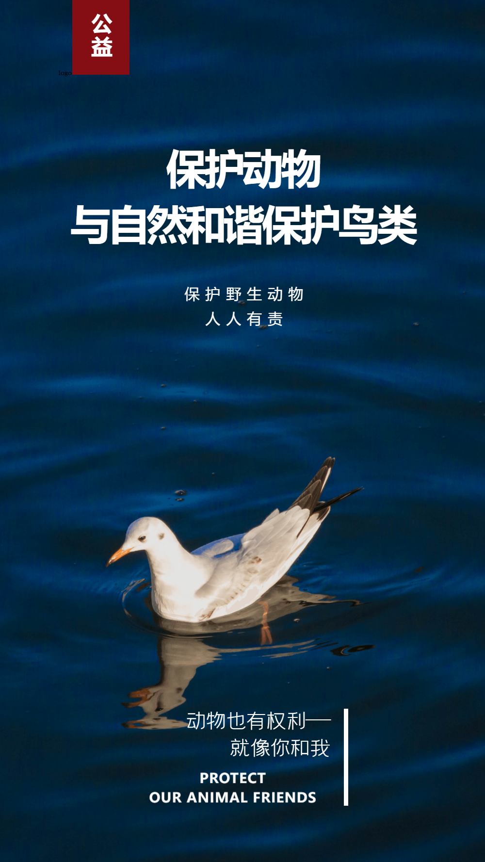 自然和谐保护鸟类宣传摄影图海报