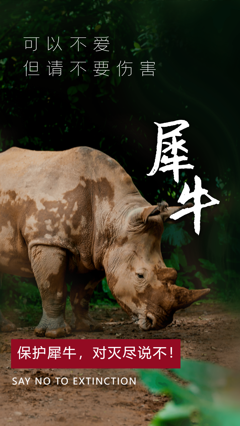 犀牛保护动物宣传摄影图海报