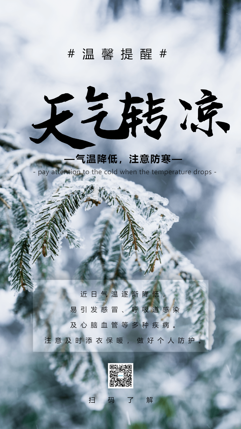 天气转凉摄影图海报