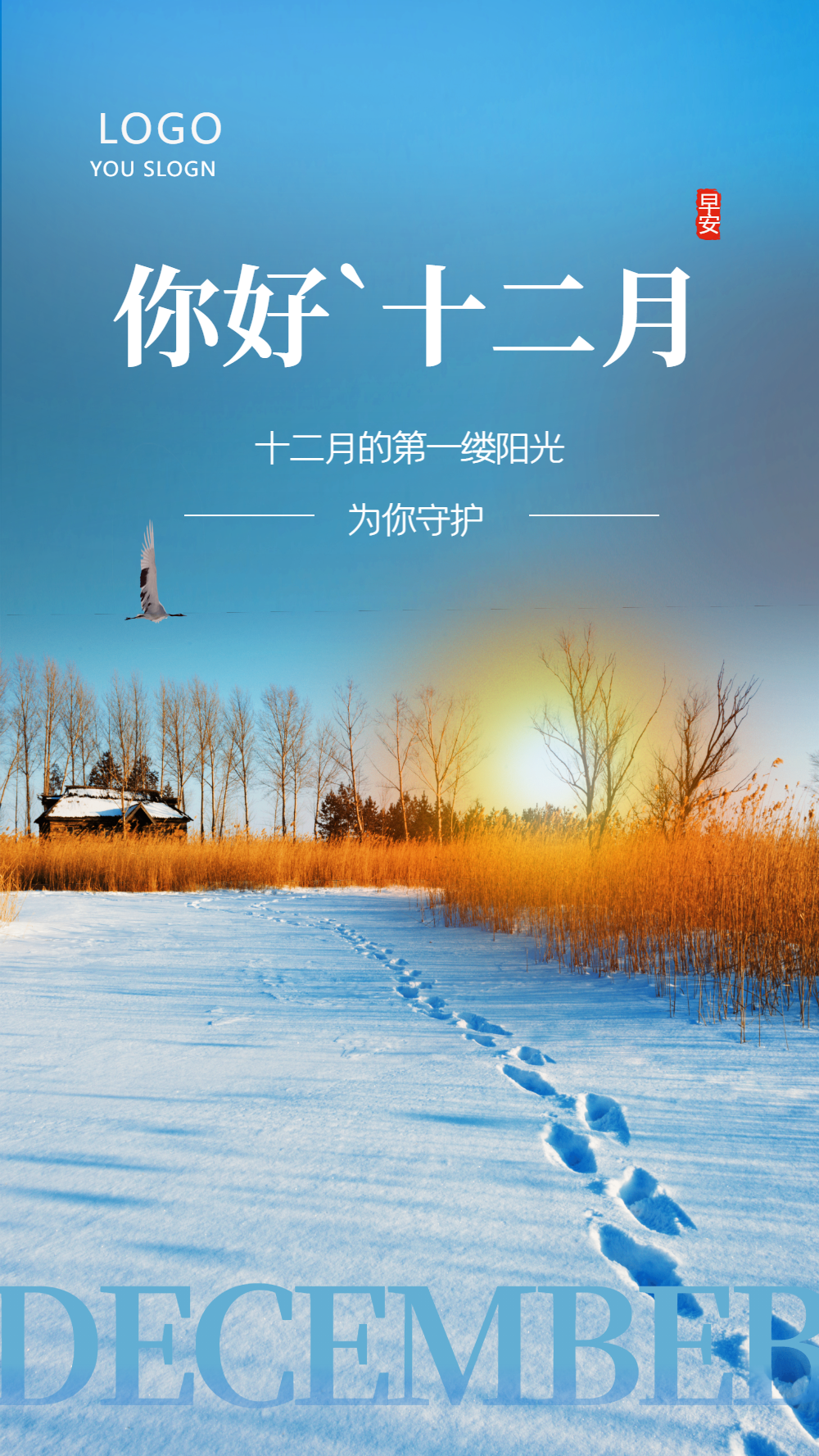 清新简约你好十二月摄影图海报