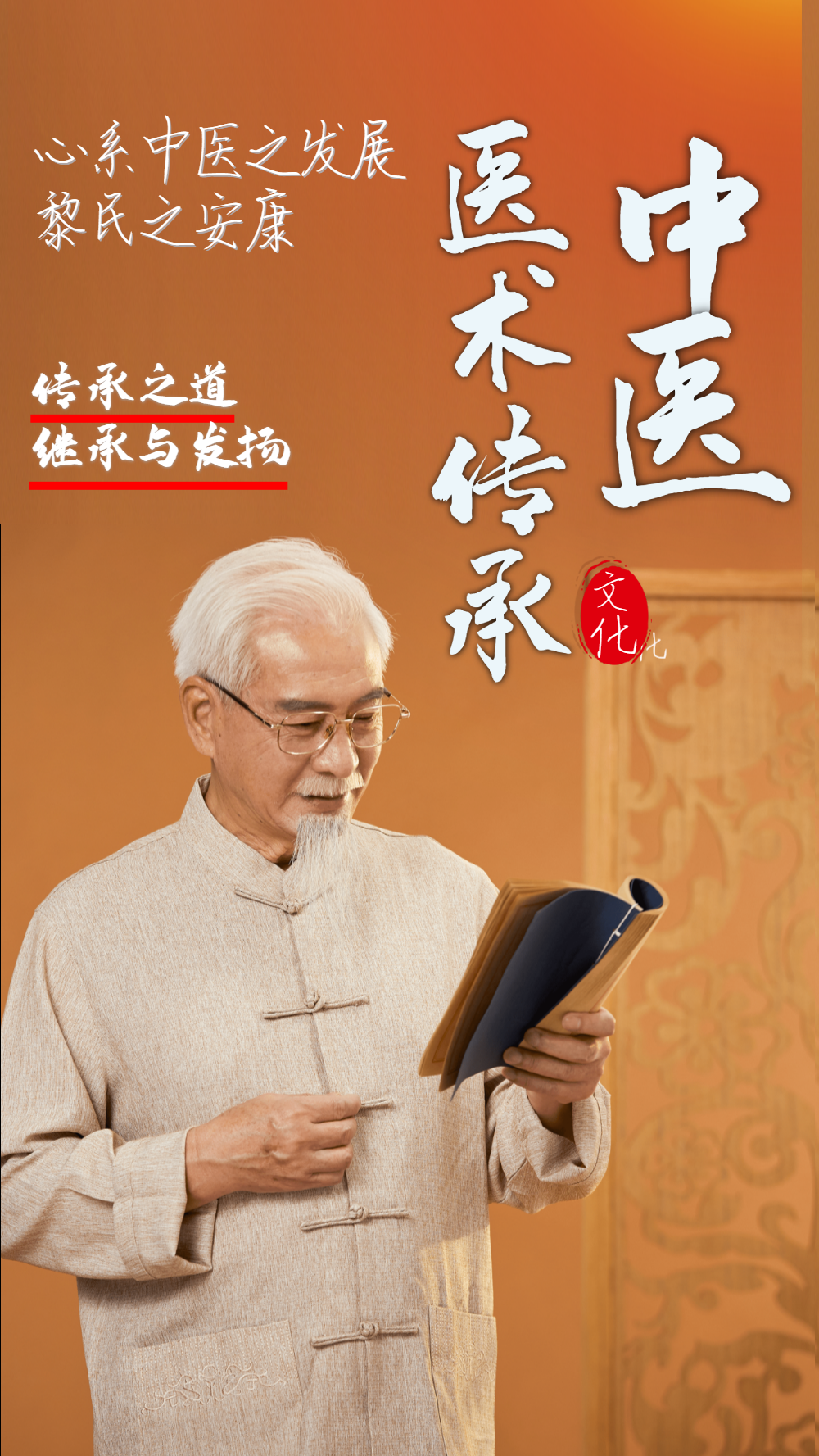 中医医学传承摄影图海报