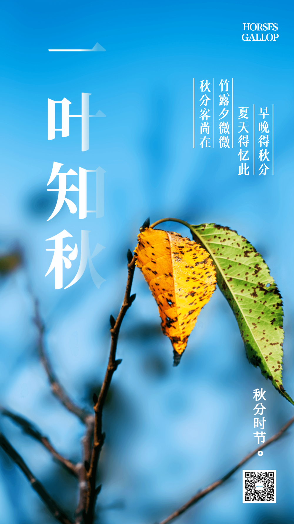 一叶知秋树叶摄影海报